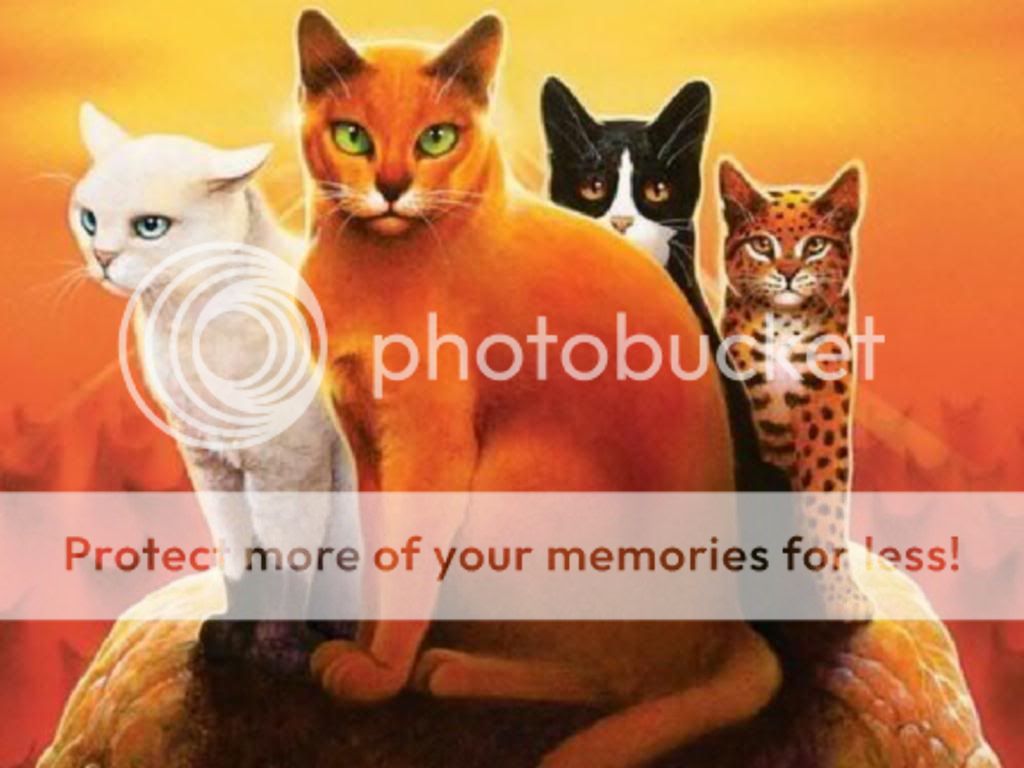 Warrior Cats Leaders Photo by icepaw99 Photobucket